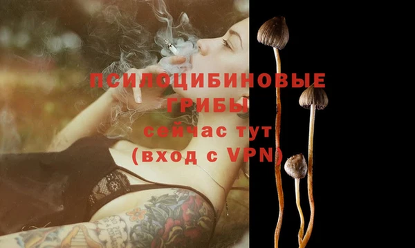 дживик Верхний Тагил