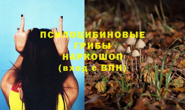шишки Верхнеуральск