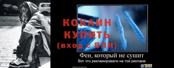 дживик Верхний Тагил