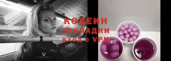 дживик Верхний Тагил
