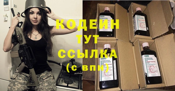 дживик Верхний Тагил