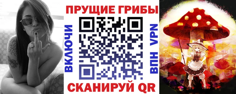 MEGA ССЫЛКА  Заволжск  Галлюциногенные грибы MAGIC MUSHROOMS  цена наркотик 